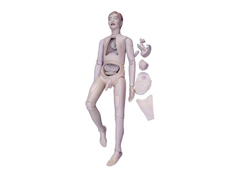 Modelo Femenino Para Practicas de Enfermer&iacute;a -Doll