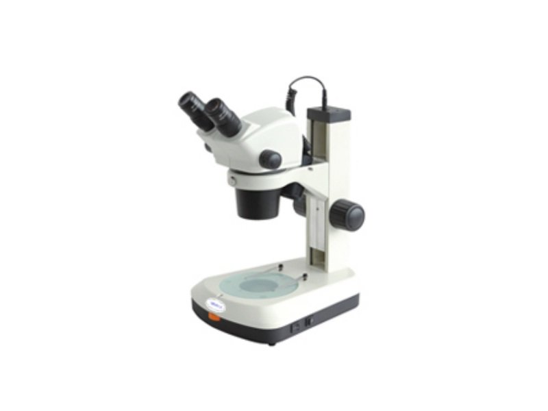 Estéreo Microscopio Binocular para Investigación 
