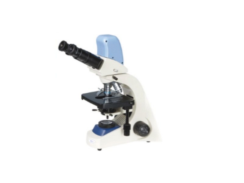 Microscopio Binocular Digital USB