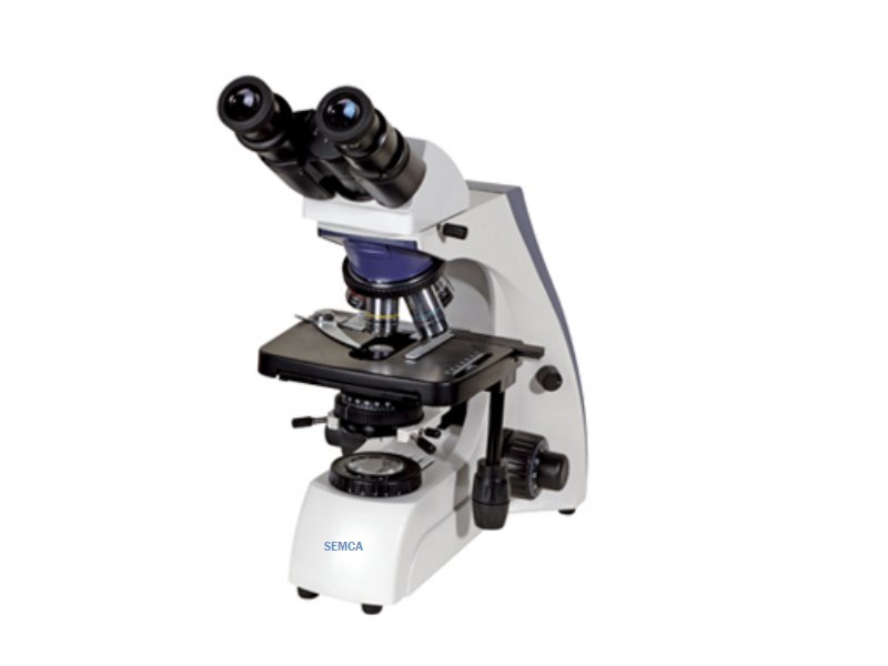 Microscopio Binocular para Investigación 