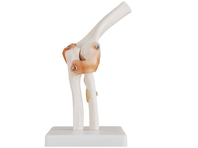 Modelo de Articulaci&oacute;n de Codo