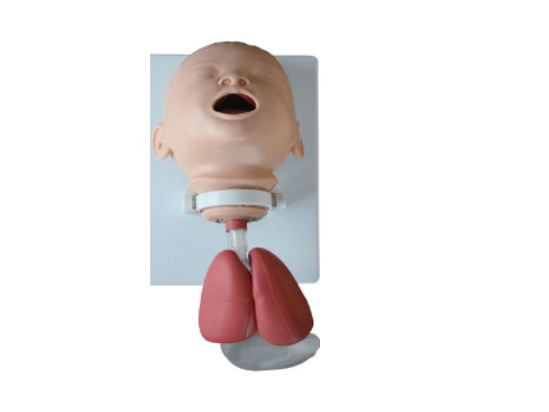 Modelo de Entrenamiento de Intubaci&oacute;n Infanto