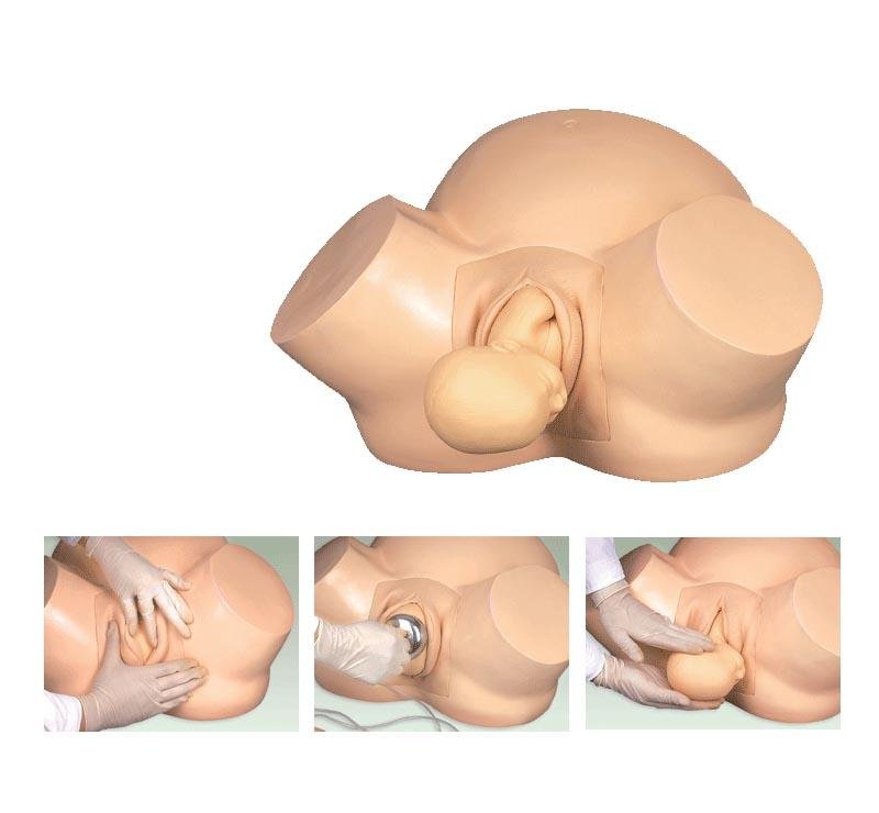 Modelo Simulador del Parto
