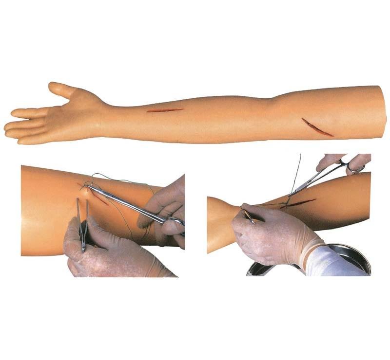 Modelo de Brazo de Pr&aacute;ctica de Sutura