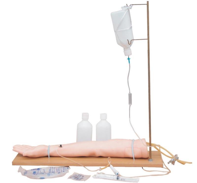 Modelo de Brazo Inyectable con Soporte