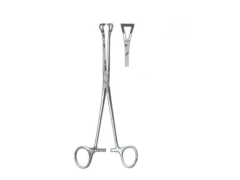 Pinza Babcock