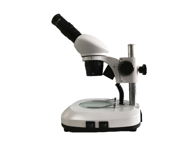 Estéreo Microscopio