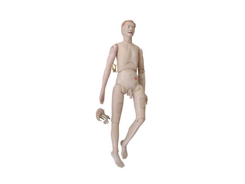 Modelo Masculino Para Practicas de Enfermería -Doll