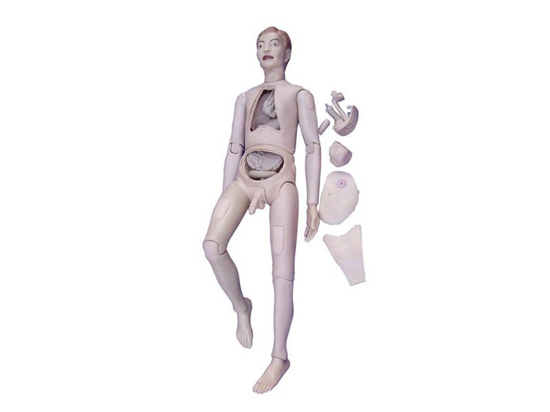 Modelo Femenino Para Practicas de Enfermería -Doll