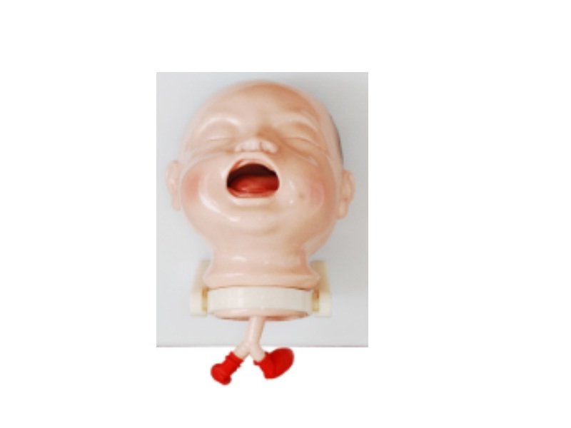 Modelo Simulador de Intubación Traqueal Neonatal